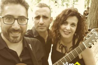 Viro Band