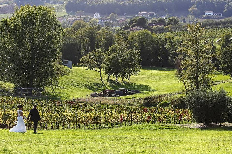 Passeggiata tra i vigneti