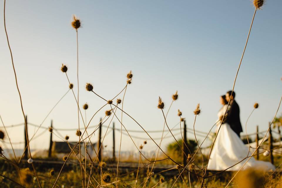 Franco & Luisa