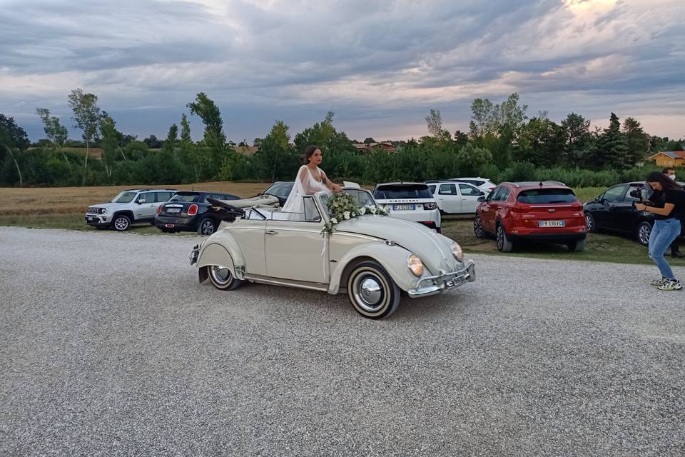 Cabrio