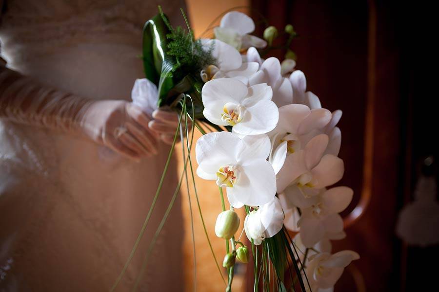 Bouquet orchidea