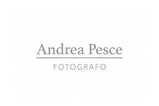 Andrea Pesce Fotografo