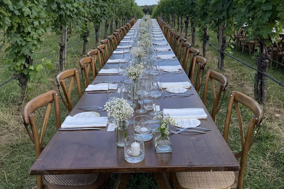 Cena nel vigneto