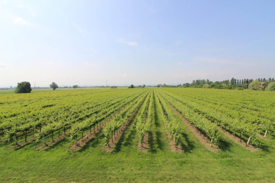 Agriturismo San Paolo