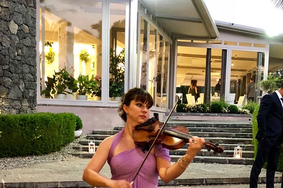 Violinista