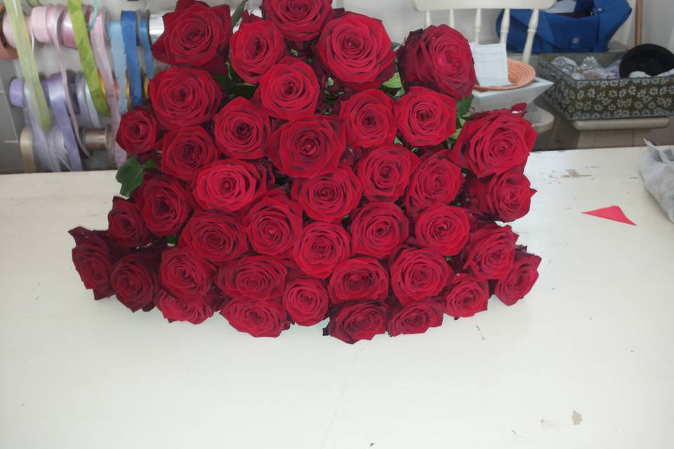 Rose rosse