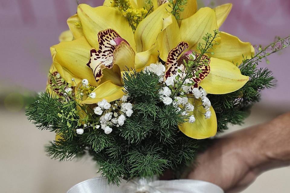 Bella Flora MP