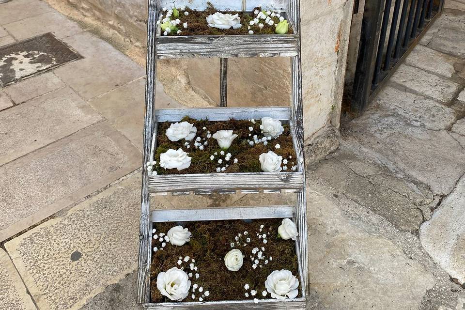 Bella Flora MP