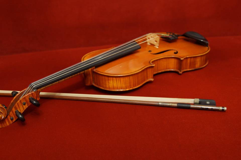 Violino