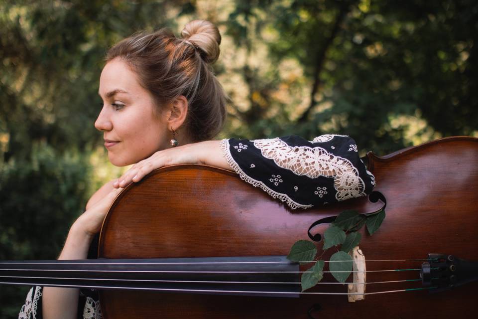 Musica matrimonio Vicenza