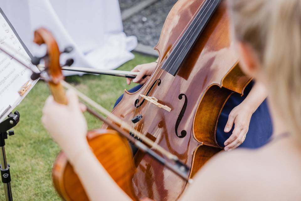 Musica matrimonio Vicenza