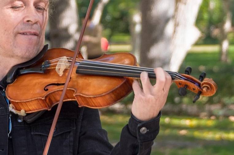 Antica Agenzia Musicale Terenz