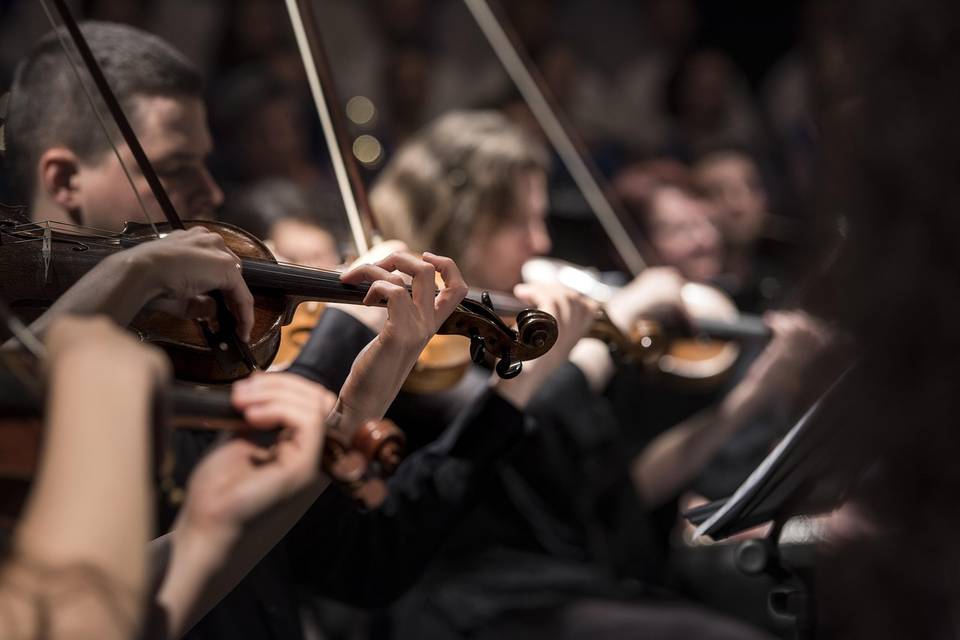 Antica Agenzia Musicale Terenz