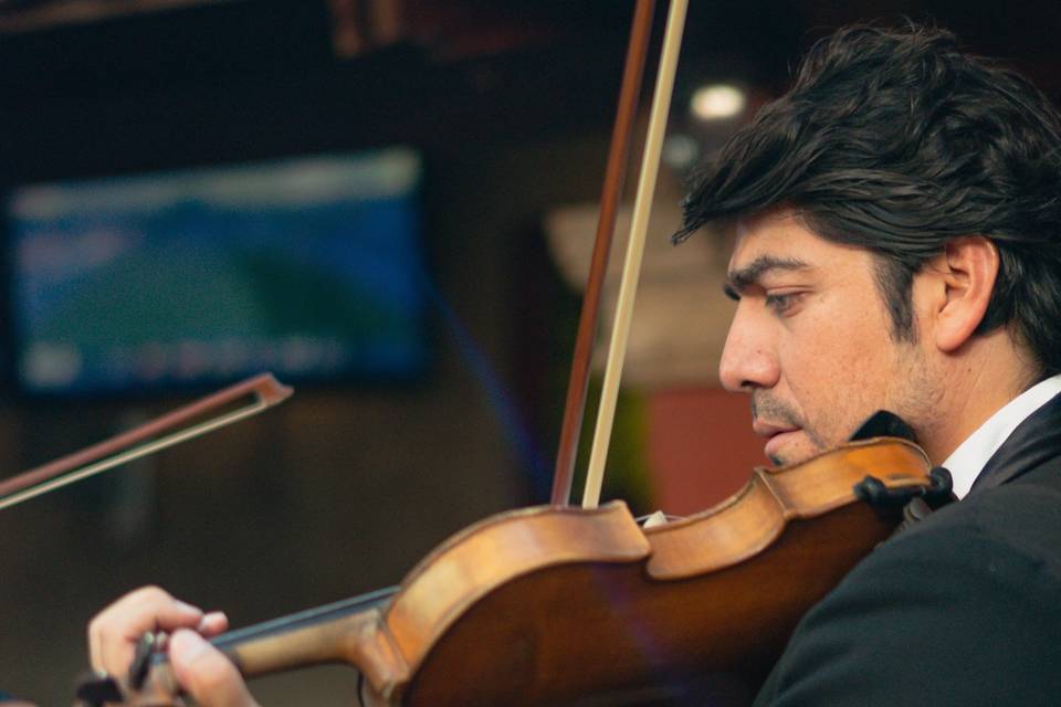 Antica Agenzia Musicale Terenz