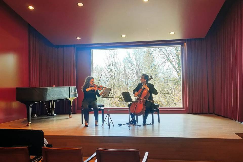 Violin Cello Duo