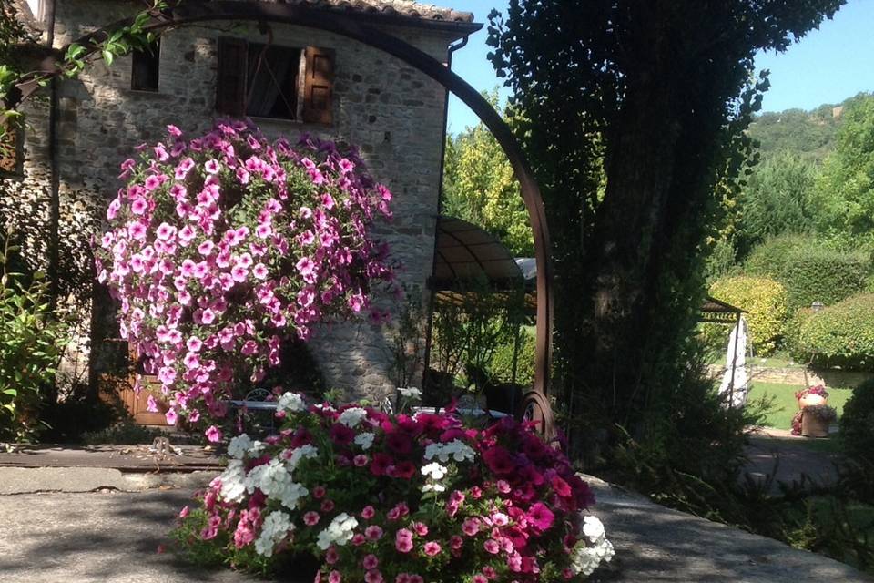 Fiori sul vecchio pozzo