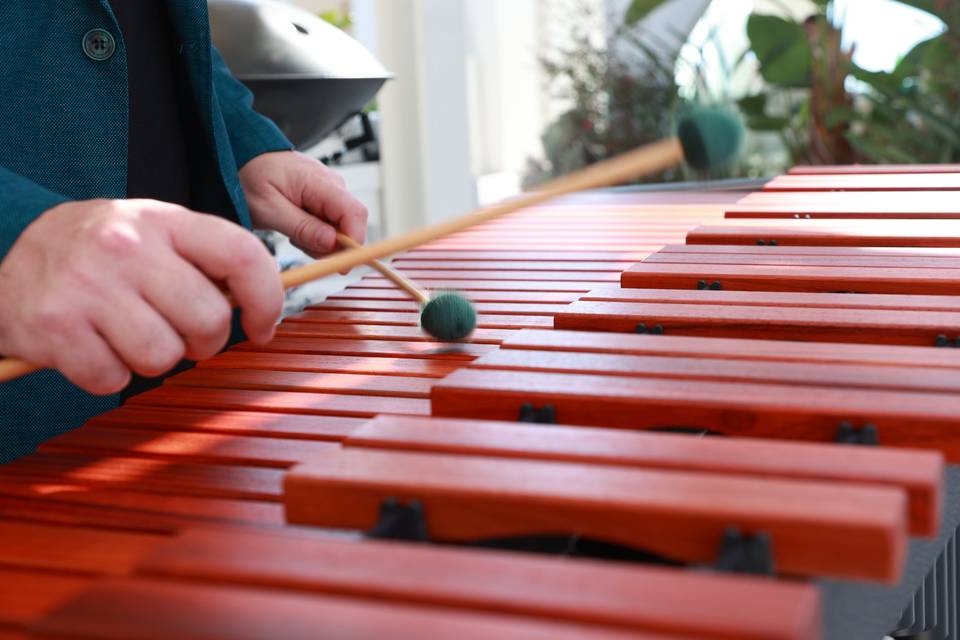 Stile ed Eleganza - Marimba