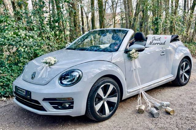 MAGGIOLINO CABRIO