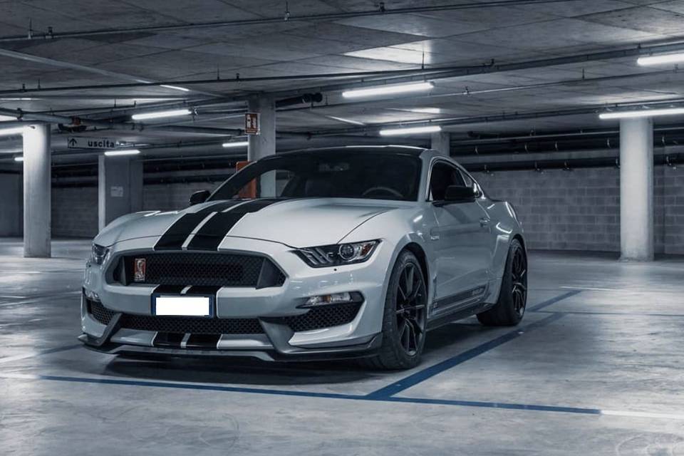 Shelby gt