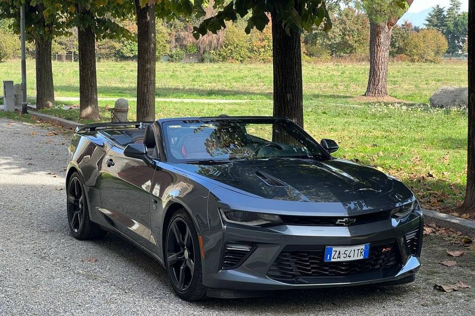 Camaro ss cabrio