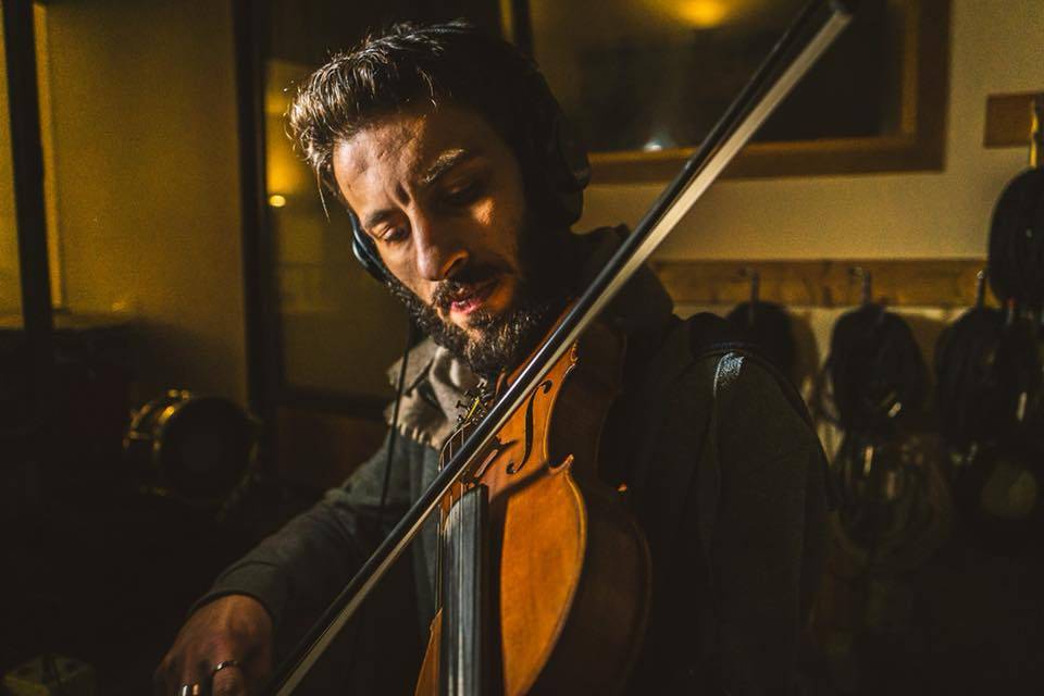Violino