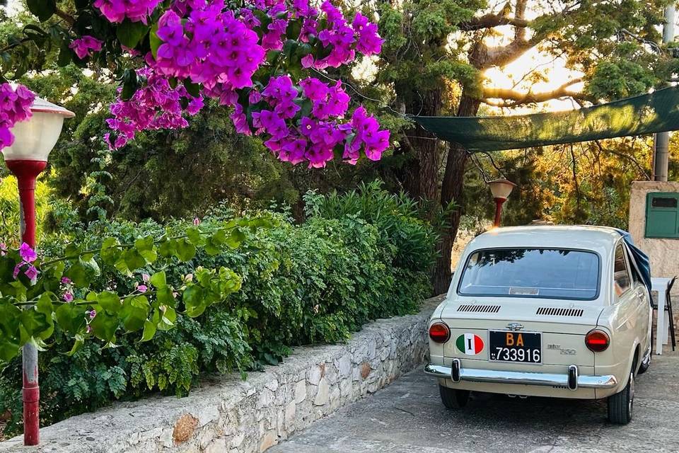 FIAT 850S