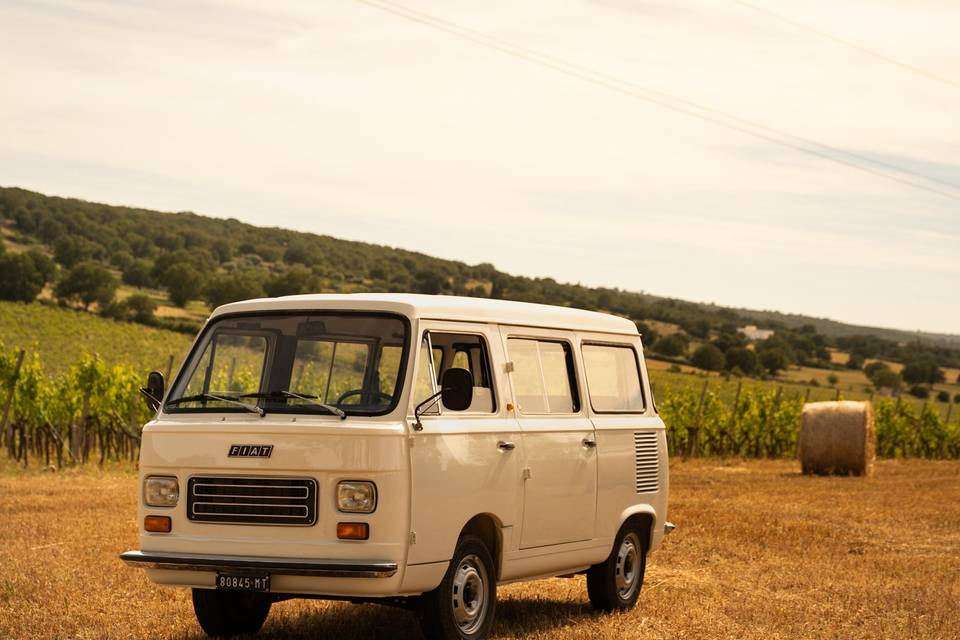 PULIMINO FIAT D'EPOCA