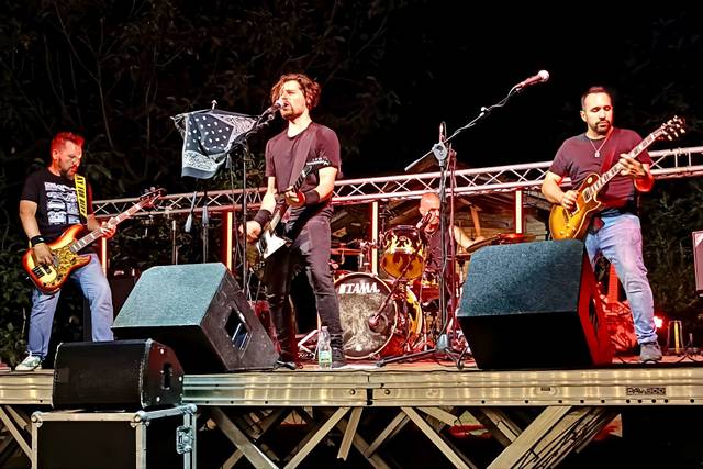 Feedback Live