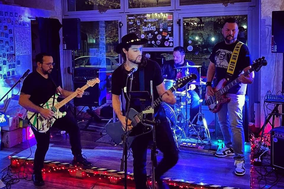 Feedback Live
