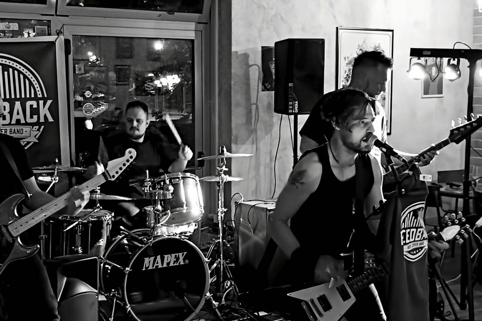 Feedback Live