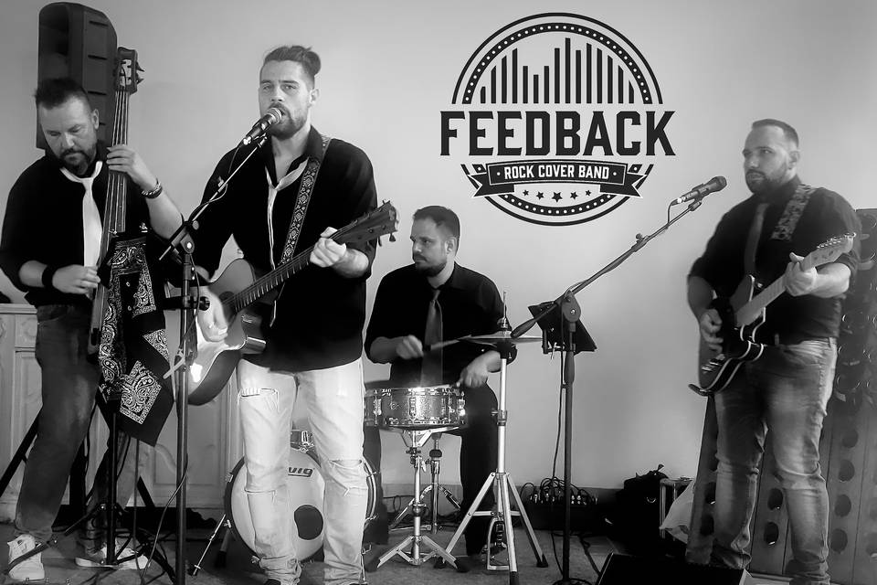 Feedback