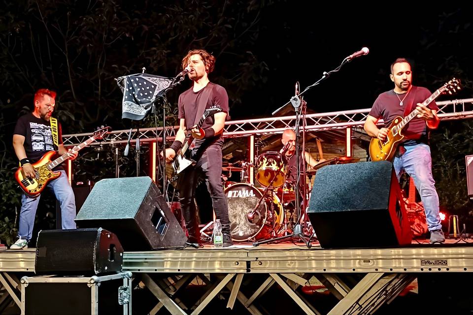 Feedback Live