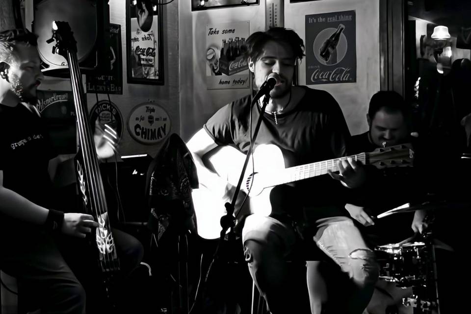 Feedback Live