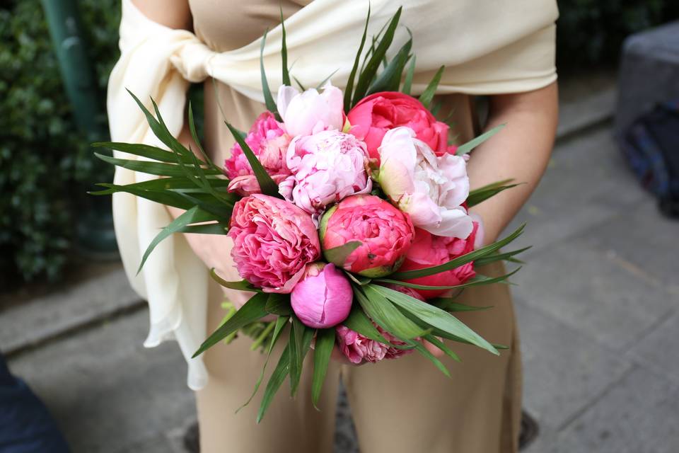 Peonie