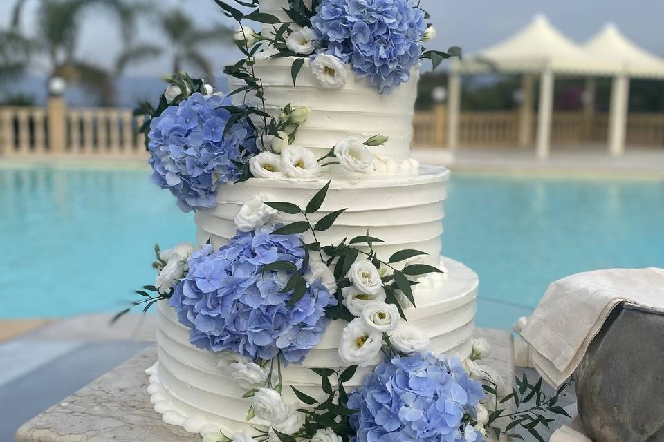 Taglio torta