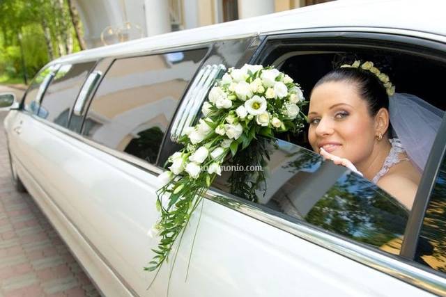 Limousine 9 posti