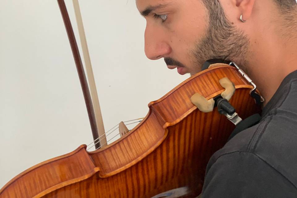 Violino