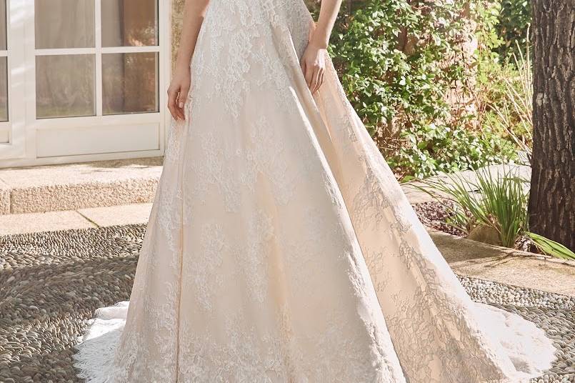 Alberto Palatchi. Sposa 2025