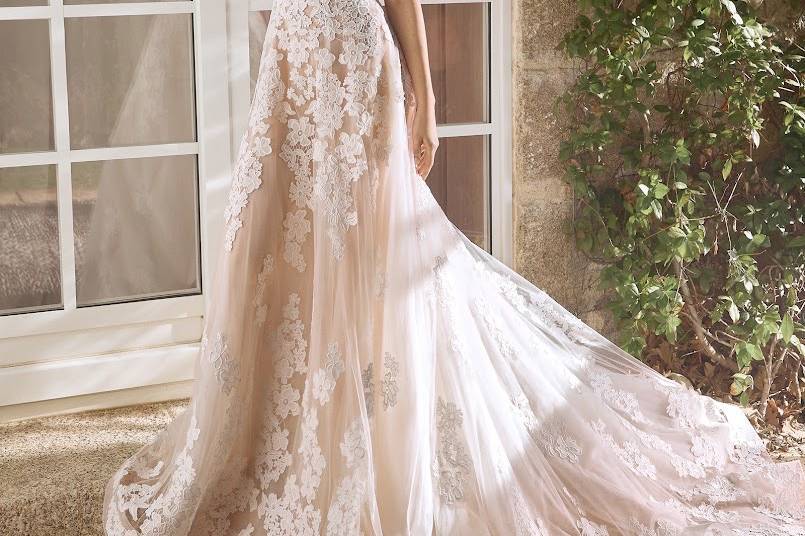 Alberto Palatchi. Sposa 2025