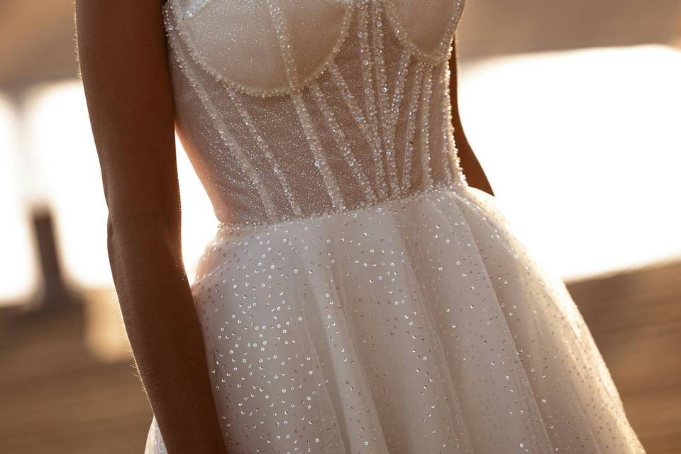 Demetrios sposa 2025