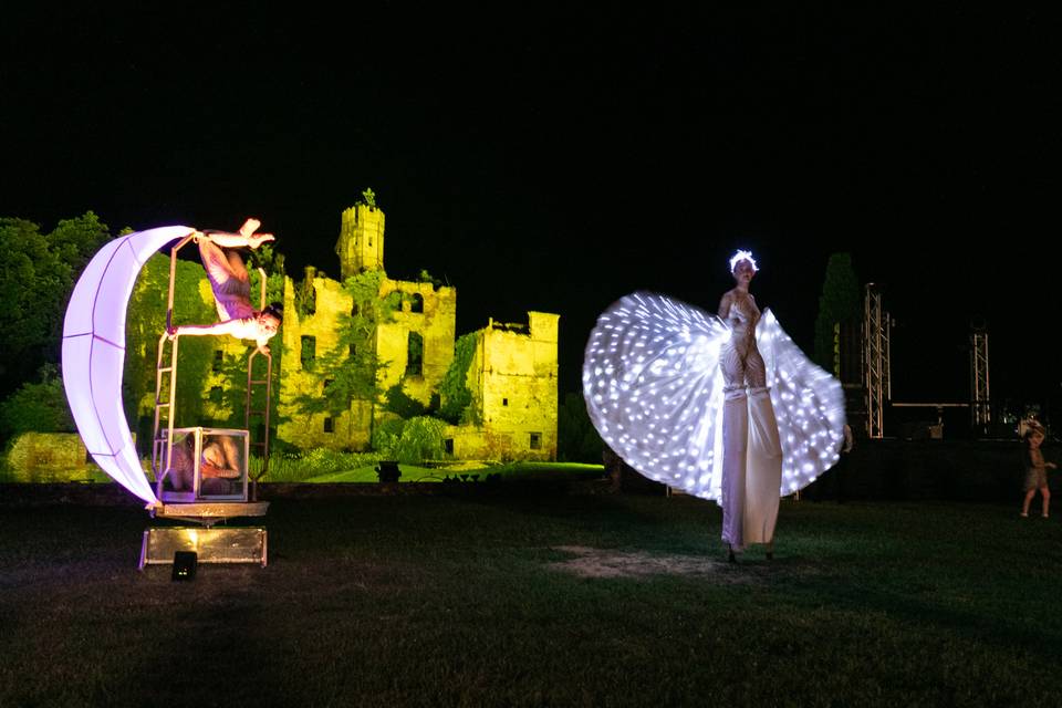 Farfalle luminose matrimonio