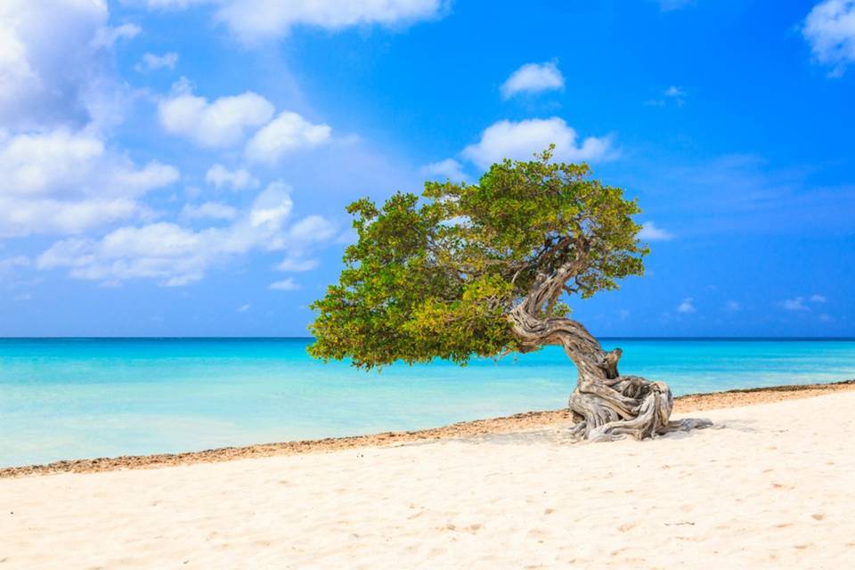 Aruba