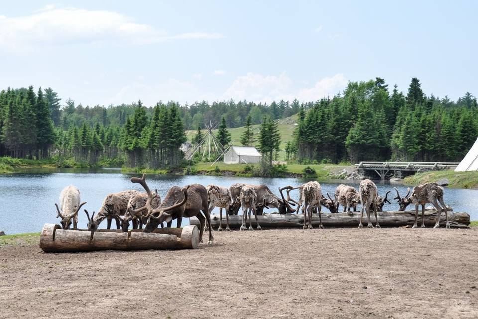 Canada