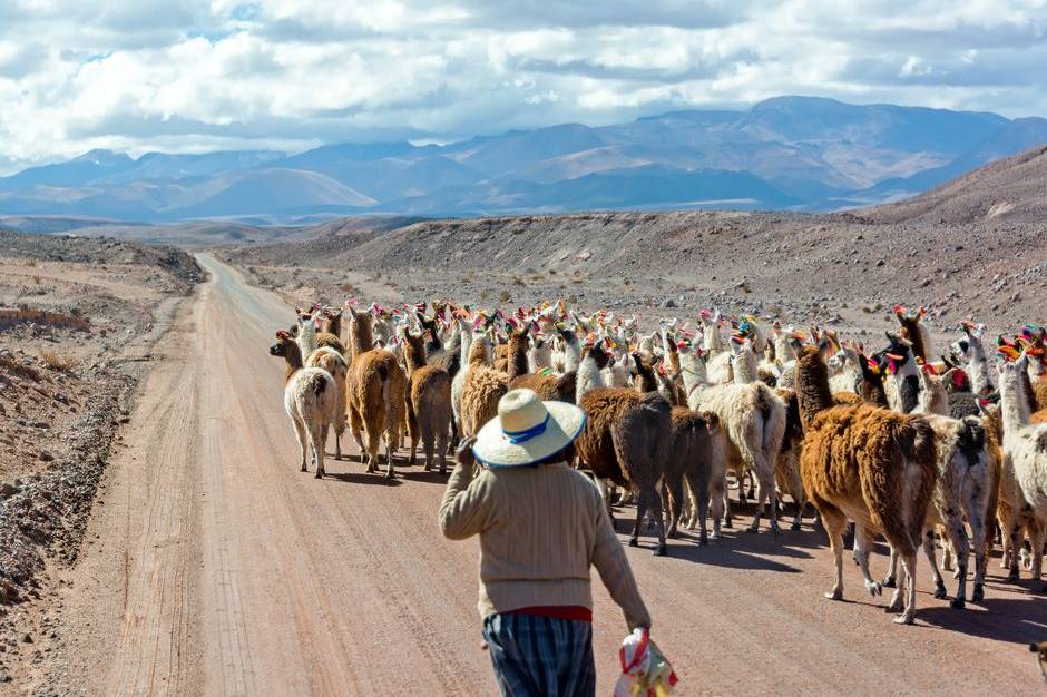 Cile entroterra