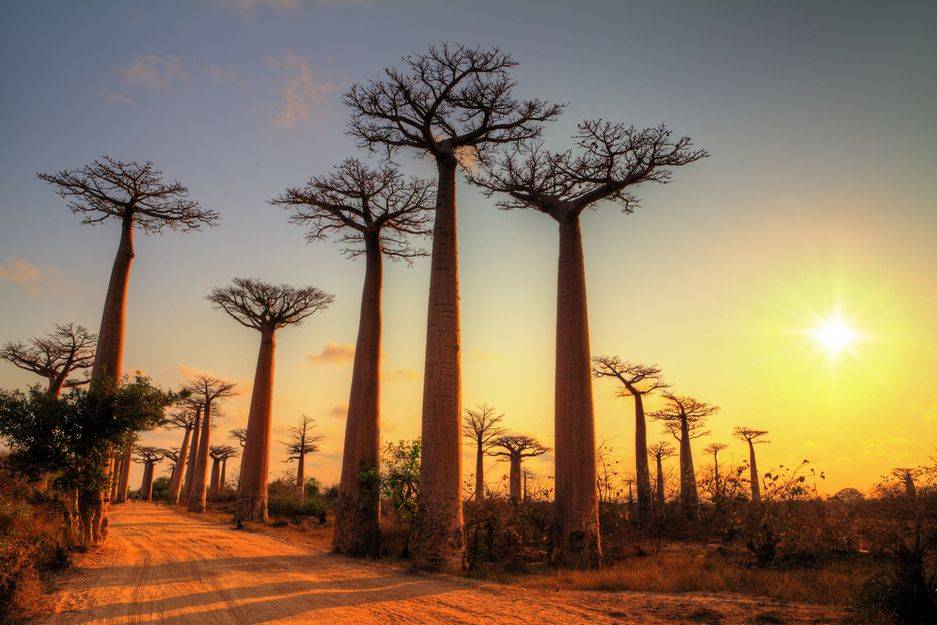 Madagascar