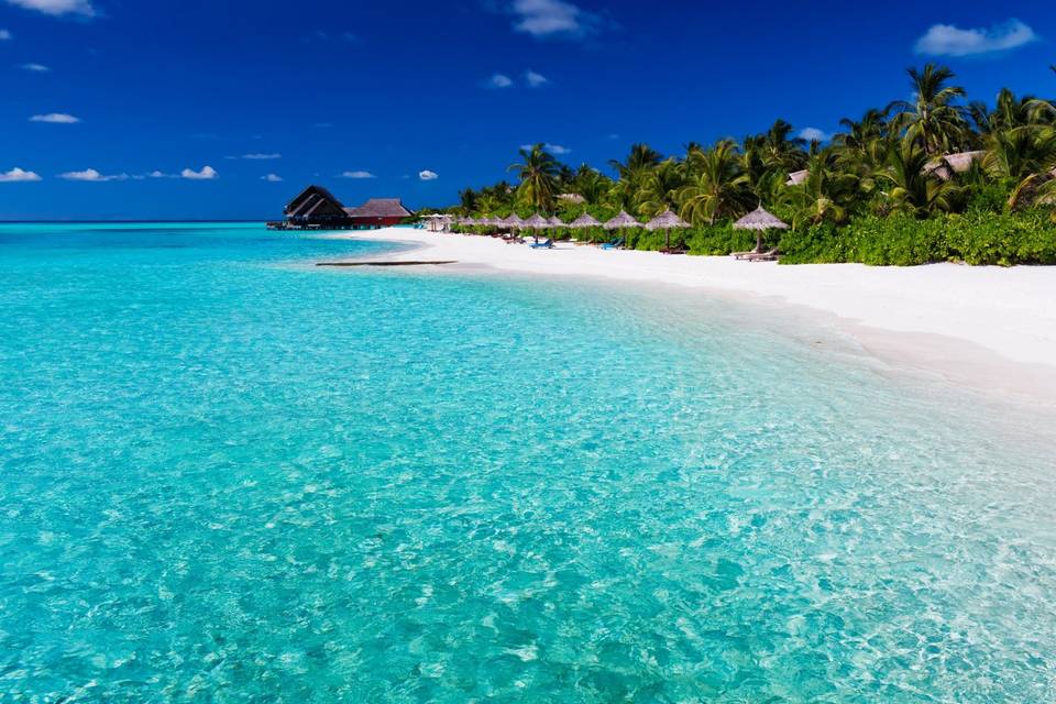 Maldive