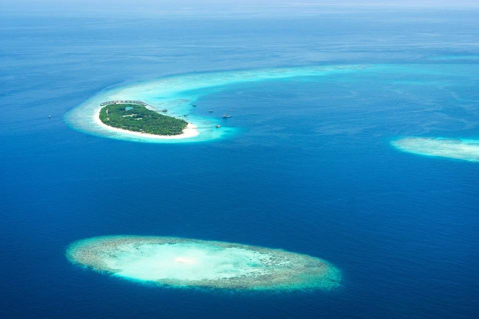 Maldive