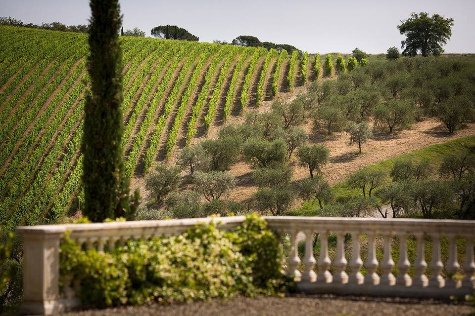 Terrazza sui vigneti