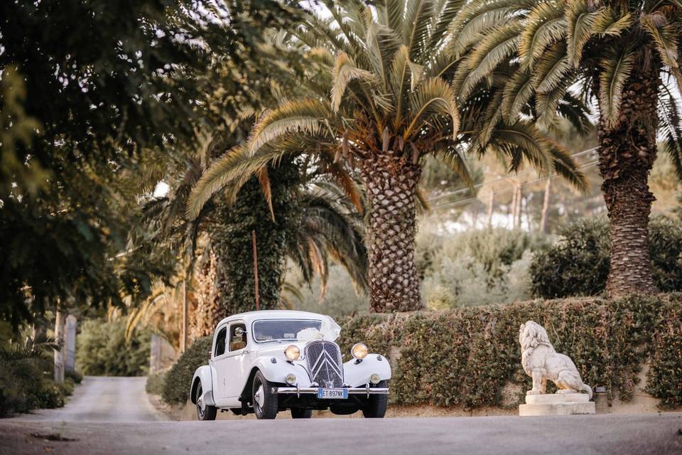 Citroën TractionAvant del 1955