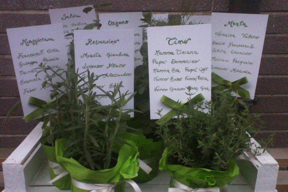 Tableau piante aromatiche C&C